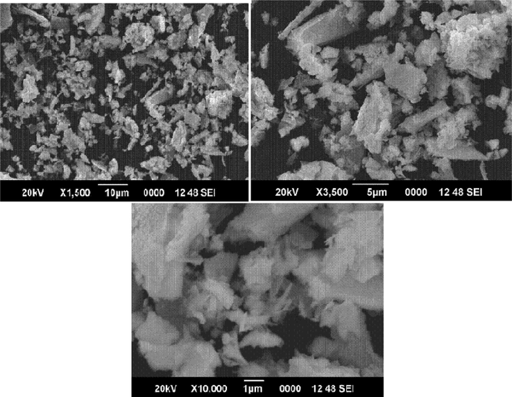 SEM images of Pr6O11 residue of [Pr{3-C6H4(CH3CONH)COO}3.(N2H4)].