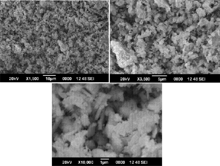 SEM images of Pr6O11 residue of[Pr{4-C6H4(CH3CONH)COO}3(N2H4)].