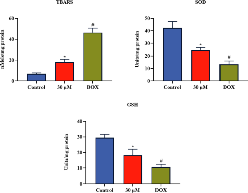 Effect of brassinin on the antioxidants and TBARS level in the C666-1 cells. Outcomes were deliberated as a mean ± SD of three individual assays. The final data were assessed by the one-way ANOVA and Tukey’s post hoc study using GraphPad Prism software. Note: ‘*’ represents significant at p < 0.05 between brassinin treatment and ‘#’ represents significant at p < 0.01 between control and DOX treatment.