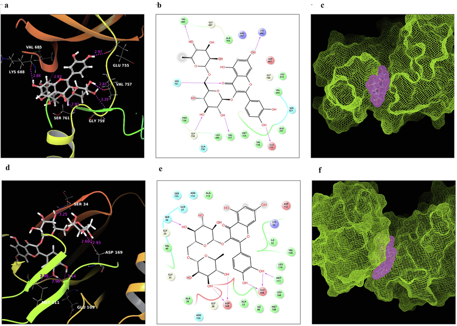 (a). H-bond interaction between active compound rutin and ASK1; (b). Ligand interaction of active compound rutin and ASK1; (c). Surface view of rutin with the active site of target ASK1; (d). H-bond interaction between active compound rutin and JNK; (e). Ligand interaction of active compound rutin and JNK; (e). Surface view of rutin with the active site of target JNK.