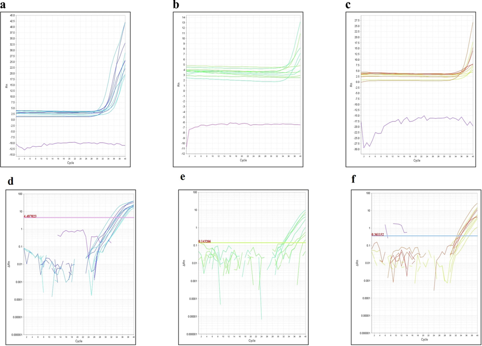 (A). The efficiency of amplification was tested by monitoring the slope of amplification curves produced during the amplification in real-time. (a) ASK1; (b) JNK; (c) β-actin. (B). The target's Ct values were incorporated into the standard curve, as calculated by qRT-PCR. The Ct values plotted for each dilution are the mean of triplicates. (a) ASK1; (b) JNK; (c) β-actin.