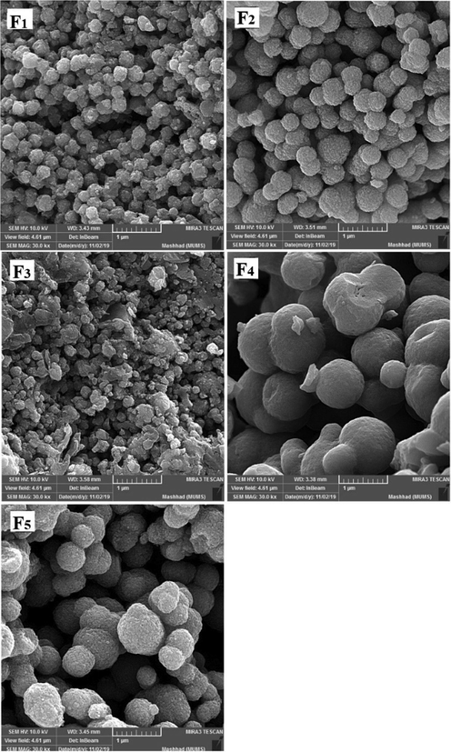 FE-SEM images for samples F1, F2, F3, F4, and F5.