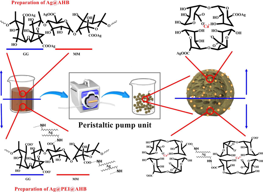 The rough flowchart to prepare composite silver-alginate hydrogel beads. Reproduced with permission from ref. (Gao et al., 2018).