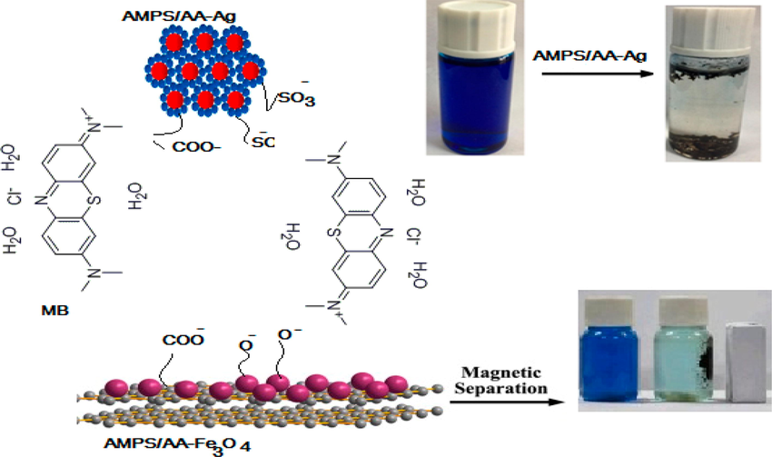 The MB adsorption mechanism utilizing AMPS/AA composites. Reproduced with permission from ref. (Atta et al., 2019).