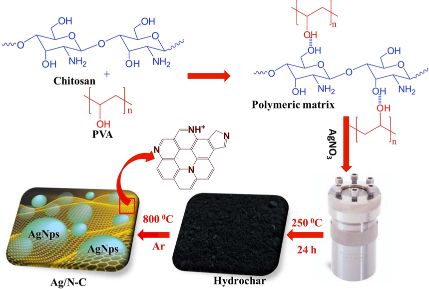 The preparation manners for Ag/N–C and hydrochar nanocomposite. Reproduced with permission from ref. (Alhokbany et al., 173 (2019).).