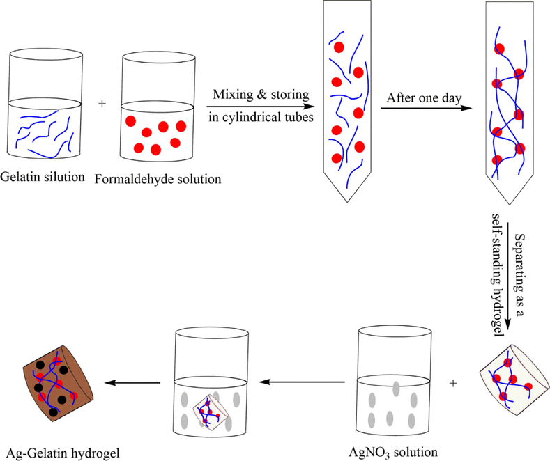 The preparation of the Ag-Gelatin hydrogel.