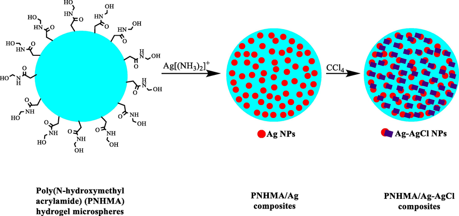 The preparation of PNHMA/Ag-AgCl composite.