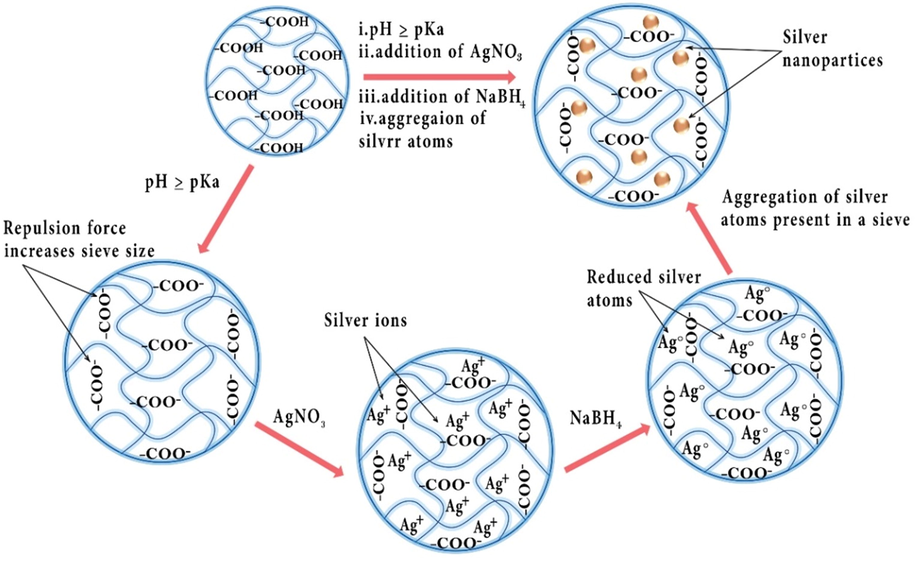 The catalytic degradation of azo dyes by sodium borohydride utilizing Ag-p(NMA) hybrid microgels as a catalyst in water. Reproduced with permission from ref. (Iqbal et al., 2020).