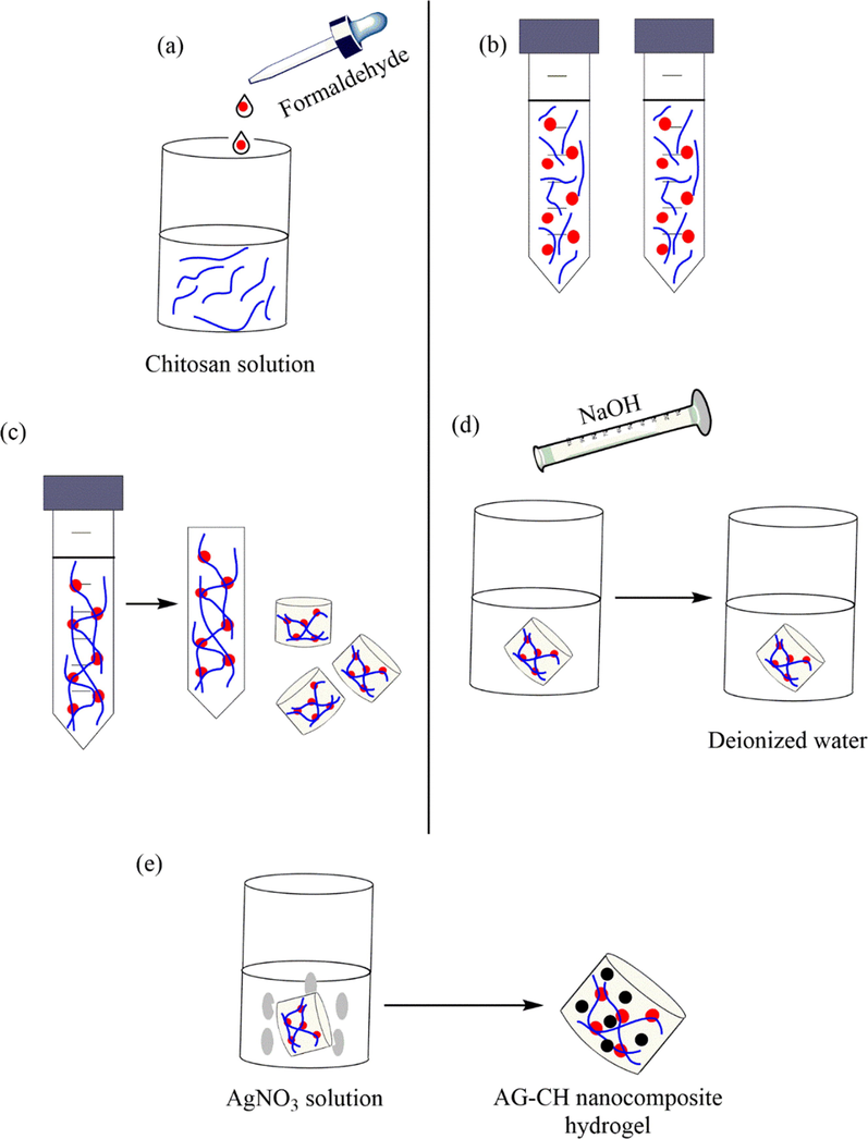 The preparation of Ag-CH hydrogel.