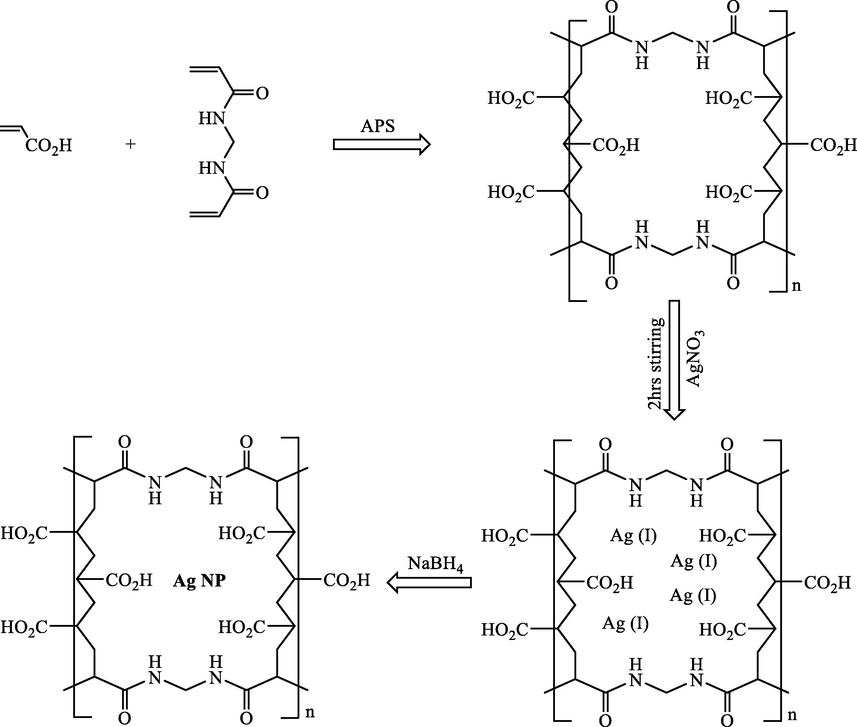 The synthesis of PAAHMPs/Ag NPs.