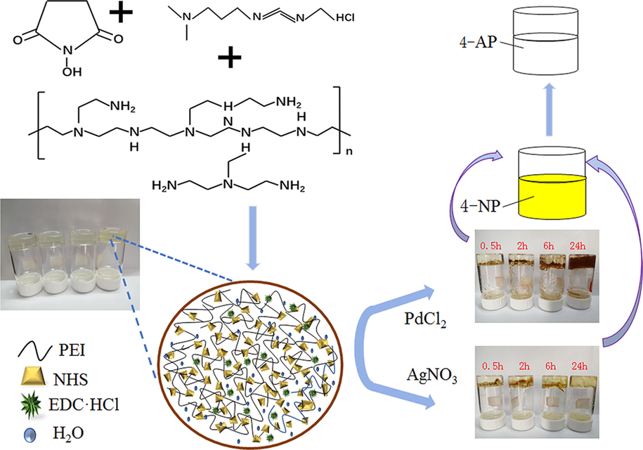 Preparation and catalytic procedure of PEI-Ag/PEI-Pd composites and PEI hydrogel. Reproduced with permission from ref. (Feng et al., 2020).