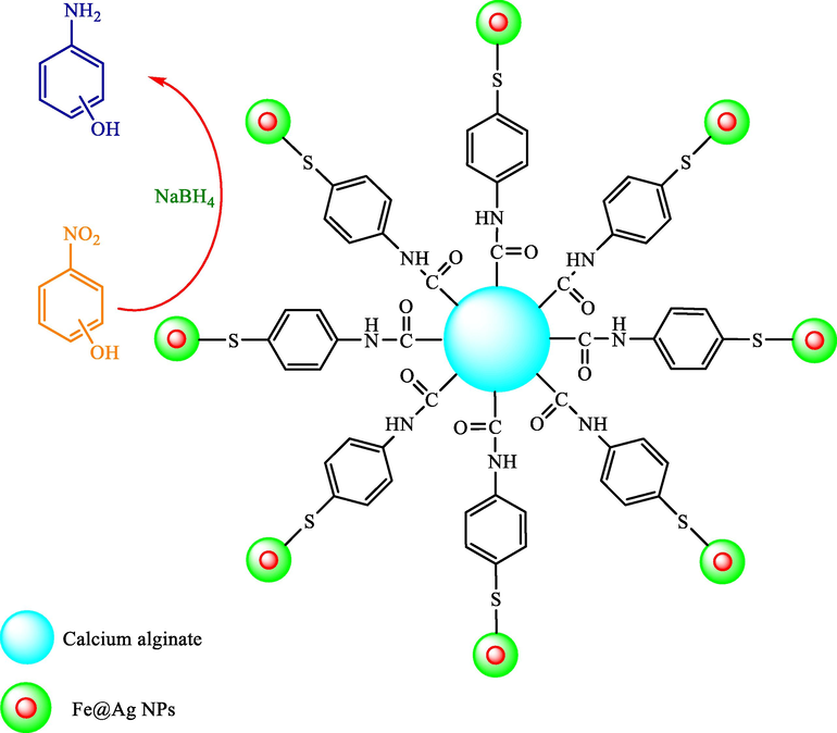 A possible mechanism for the NP compounds’ catalytic degradation with recyclable Fe@Ag-ATP-CA catalyst.