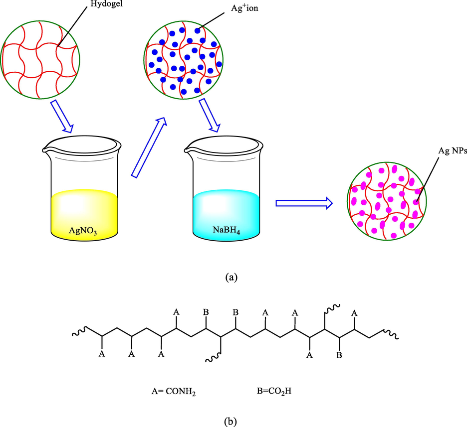 (a) The formation of silver nanoparticles in the hydrogel network and (b) chain structure of the poly(AAm-co-AA).