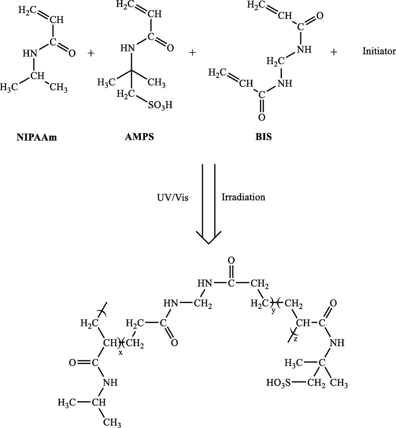 The preparation of NIPAAm-co-AMPS hydrogel.