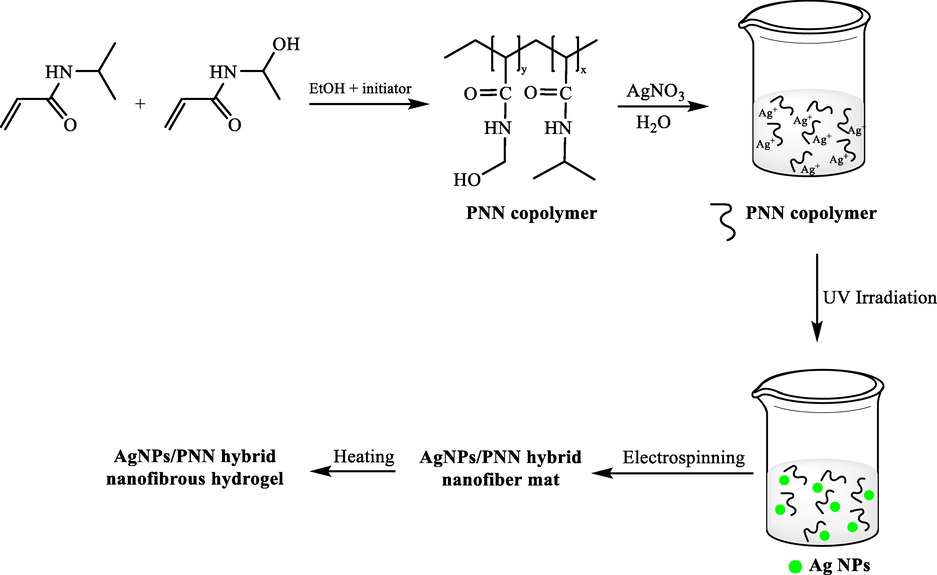 The synthesis of AgNPS-PNN hybrid nanofibrous hydrogel.