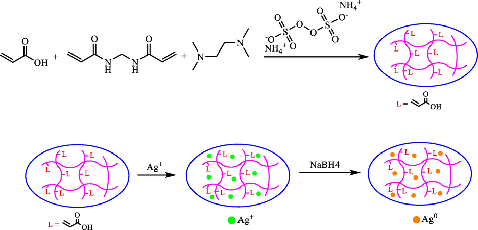 Schematic presentation of p(AA) preparation and synthesis of Ag NPs within p(AA) hydrogels.