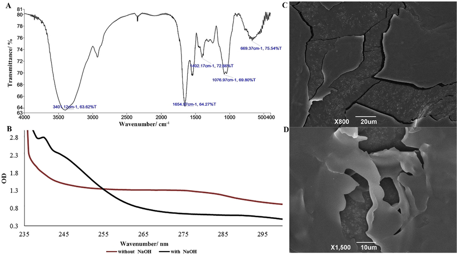 Infrared spectra (A), Uv scan (B) and Electron microscopy images (C, D) of BBWPS2.