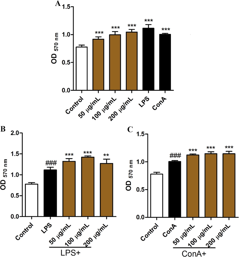 Effects of BBWPS2 on the splenocyte proliferation. The mice spleen cells were incubated with BBWPS2 at different concentrations (50, 100, 200 μg/mL) alone (A), in the presence of mitogens ConA (5 μg/mL). (B) or LPS (2.5 μg/mL) (C) for 48 h. MTT was added and incubated. The optical density was measured. Data shown were mean ± SD of 3 independent experiments. (###) p < 0.001 compared with the control group, (***) p < 0.001, (**) p < 0.01, and (*) p < 0.05 compared with the control (A), LPS (B) or ConA (C) group.