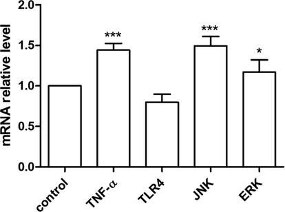 The effects of BBWPS2 on the mRNA expression level of pathway-related genes in RAW264.7 cell. The expression of genes was investigated after treatment with BBWPS2 for 6 h. Compared to the control group, (***) p < 0.001, (*) p < 0.05.