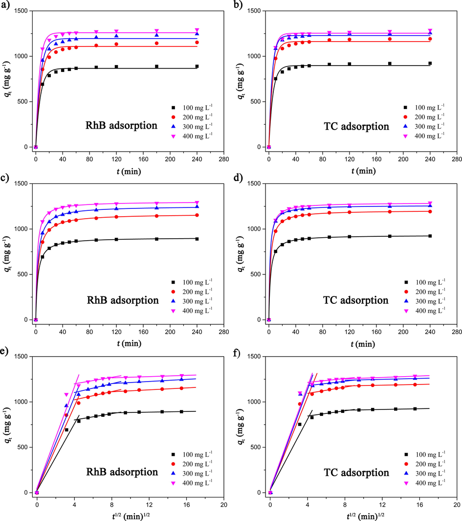 The relationship between the contact time and the adsorption capacities of PCQL toward (a, c, and e) RhB and (b, d, and f) TC. The experimental data were fitted by the (a and b) pseudo-first-order, (c and d) pseudo-second-order, and (e and f) intra-particle diffusion kinetic models, respectively.