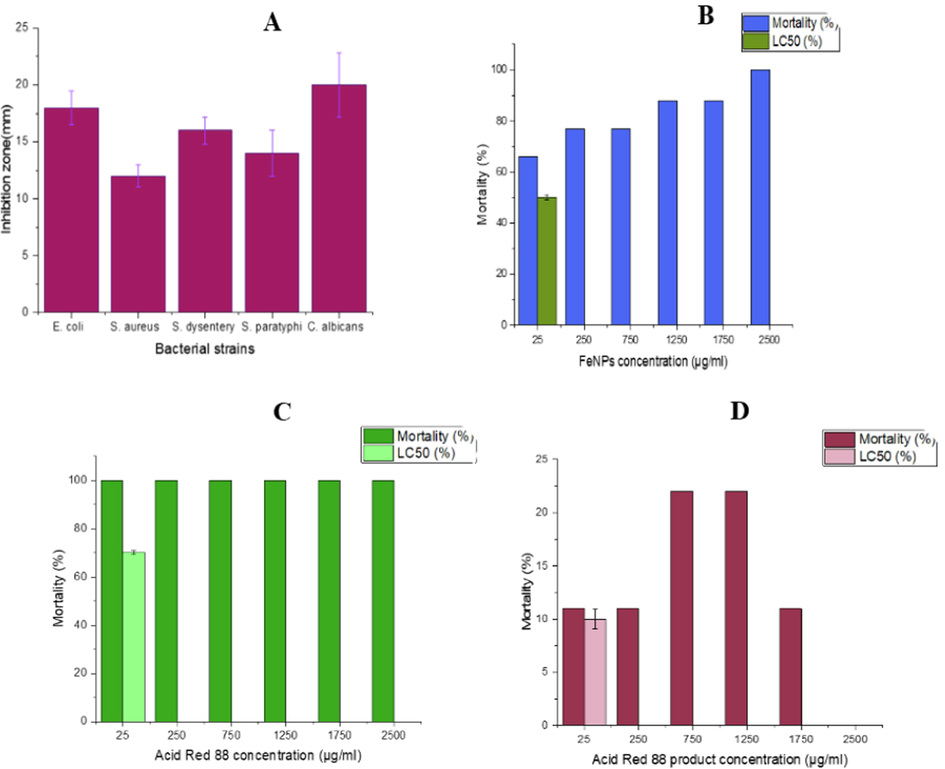 Antibacterial effect of FeNPs against standard strains (A), Biotoxicity assessment using A. salina after 24 h exposure to different concentrations of FeNPs (B), Acid Red 88 (C) and Acid Red 88 product (D).