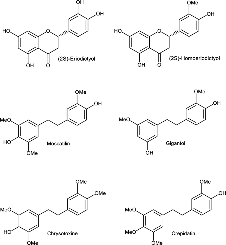 Six polyphenolic bioactive markers in Dendrobium plants.