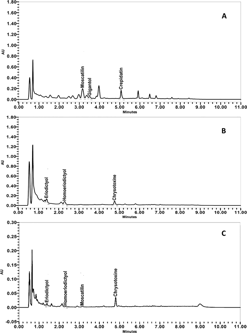 Typical UPLC chromatograms of methanolic extracts of (A) D. crumenatum, (B) D. friedericksianum and (C) D. officinale.