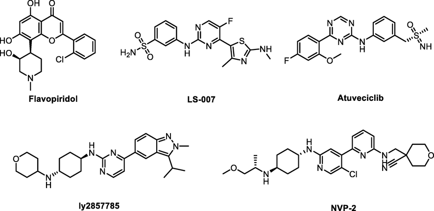 Structures of representative CDK9 inhibitors.