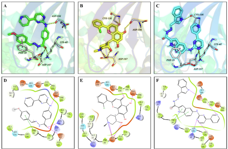 The co-crystal structure of CDK9 in complex with FLP (PDB ID: 3BLR) and proposed CDK9 binding models of 9h and 12i. Compounds 9h (A, green), FLP (B, yellow), and 12i (C, cyan) are shown in the sticks model, the protein is displayed as a colorful cartoon, and the key residues are represented as white sticks. H-bonds are indicated with yellow dashed lines, and π-π stacking interactions are shown as magenta dashes. Two-dimensional binding pattern of 9h (D), FLP (E), 12i (F) and CDK9 produced by Schrödinger. Purple solid arrows indicate hydrogen bonds, green lines indicate π-π interactions, green bands around ligands indicate hydrophobic interactions between 9h, FLP, 12i and the binding pocket residues.