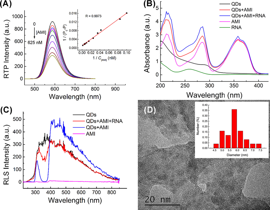 (A) Lineweaver–Burk plot of interaction between UTP-QDs (60 mg L−1) and AMI (0–625 nM) in BR buffer (50 mM, pH 5.8) containing 100 mM NaCl; (B) UV absorption of the correlation between UTP-QDs, AMI and AP-dsRNA; (C) RLS spectra of the correlation between UTP-QDs, AMI and AP-dsRNA; (D) TEM image of the precipitate formed by UTP-QDs and AMI.