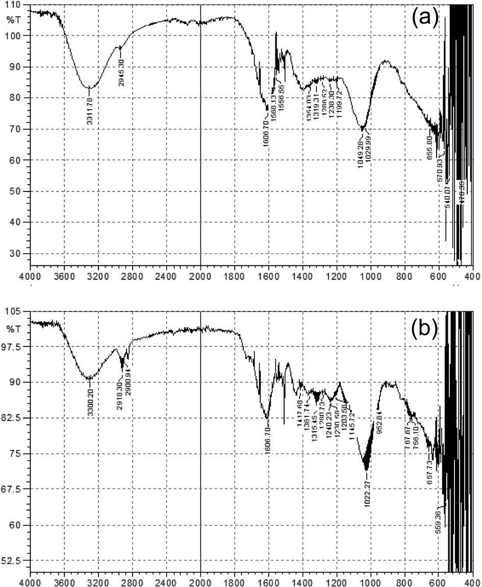 (a) FTIR spectrum of P. hydropiper leaves extract; (b) FTIR spectrum of AgNPS synthesized from P. hydropiper leaves extract.