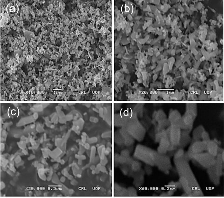 SEM images of the leaves synthesized AgNPs nanoparticles (a) X10,000; (b) X20,000; (c) X30,000; (d) X60,000.