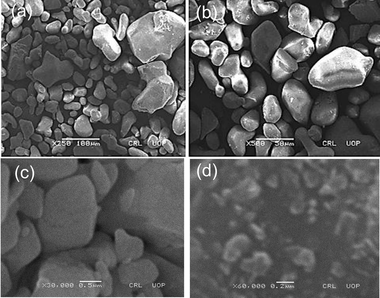 SEM images of the stem synthesized AgNPs nanoparticles (a) X250; (b) X500; (c) X30,000; (d) X60,000.