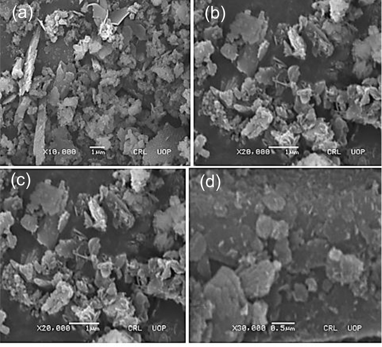 SEM images of the roots synthesized AgNPs nanoparticles (a) X10,000; (b) X20,000; (c) X20,000; (d) X30,000.