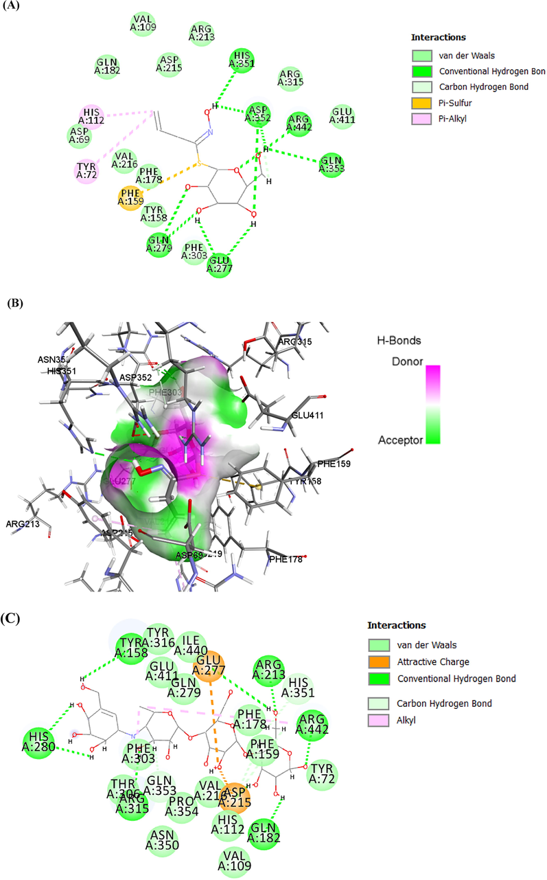 Interaction results. (A, B) 2D and 3D interaction between α-Glc-DES complex, respectively. (C, D) 2D and 3D interaction between α-Glc-ACR complex, respectively.