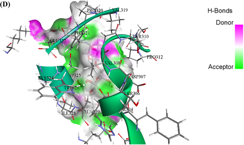 Interaction results. (A, B) 2D and 3D interaction between α-Glc-DES complex, respectively. (C, D) 2D and 3D interaction between α-Glc-ACR complex, respectively.