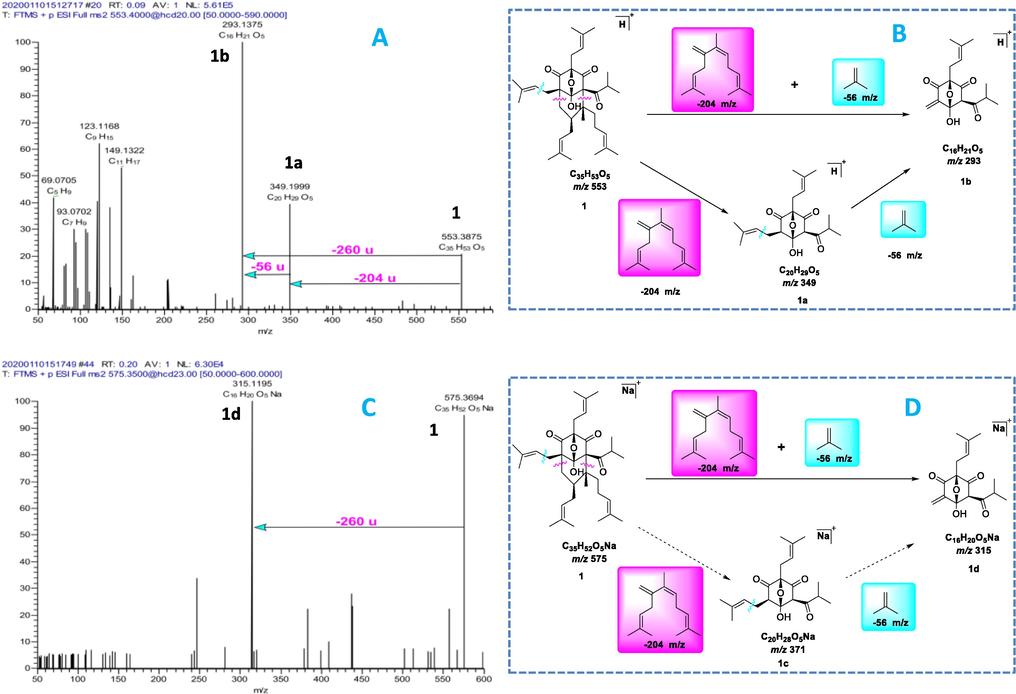 (A) Product ion scan of the selected precursor [M + H]+ ion at m/z 553 for 1 (20% NCE); (B) The proposed major fragmentation patterns of [M + H]+ for 1; (C) Product ion scan of the selected precursor [M + Na]+ ion at m/z 575 for 1 (23% NCE); (D) The proposed major fragmentation patterns of [M + Na]+ for 1.