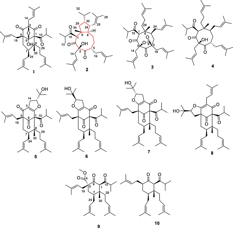 Chemical structures of 1–10.