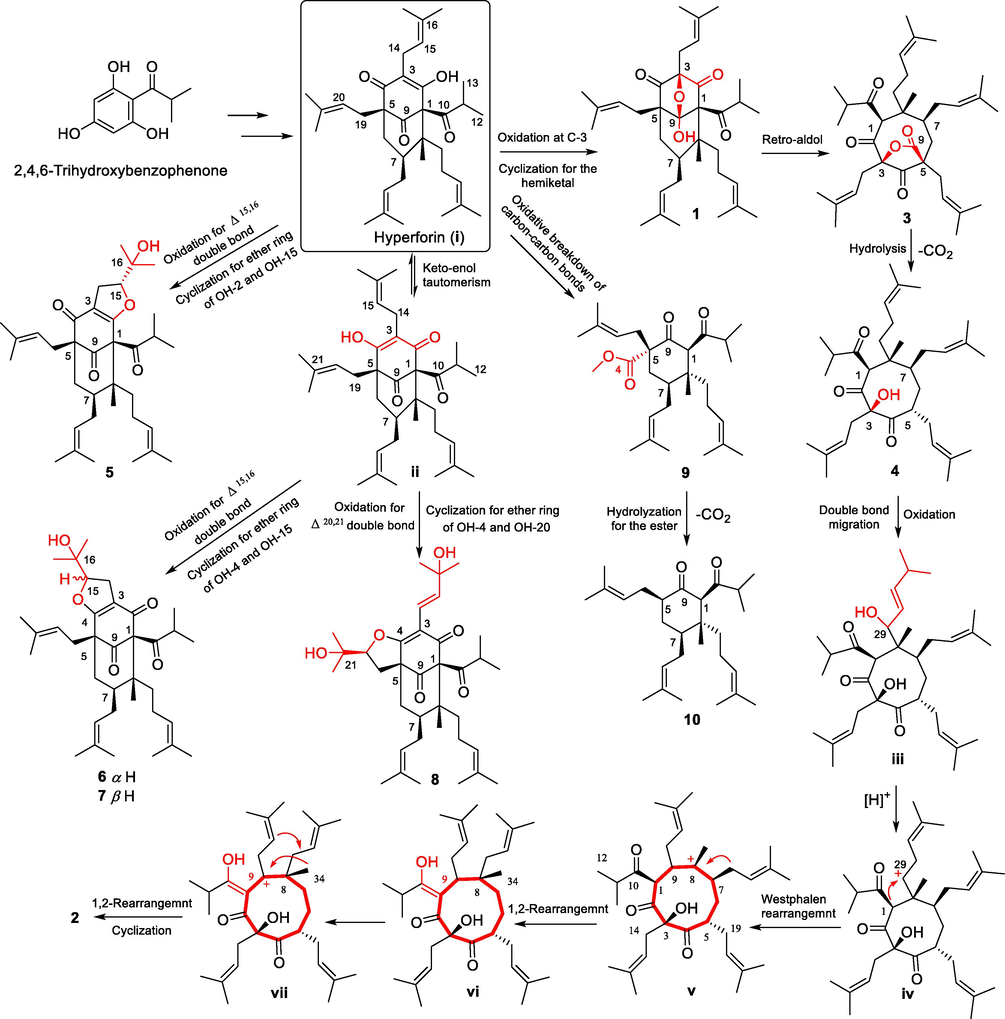 Plausible biosynthetic pathway to 1–10.