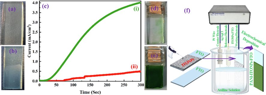 Digital photographs of the (a) bare FTO and (b) ITONPs-FTO substrates. (c) Chronoamperometric curves for electrochemical deposition of PANI on (i) ITONPs-FTO and (ii) bare FTO at + 0.85 V vs. Ag/AgCl using amperometric i-t technique. Digital photographs of (d) PANI-FTO and (e) PANI-ITONPs-FTO electrodes. (f) Schematic representation for the step-by-step fabrication of PANI-ITONPs-FTO electrode.