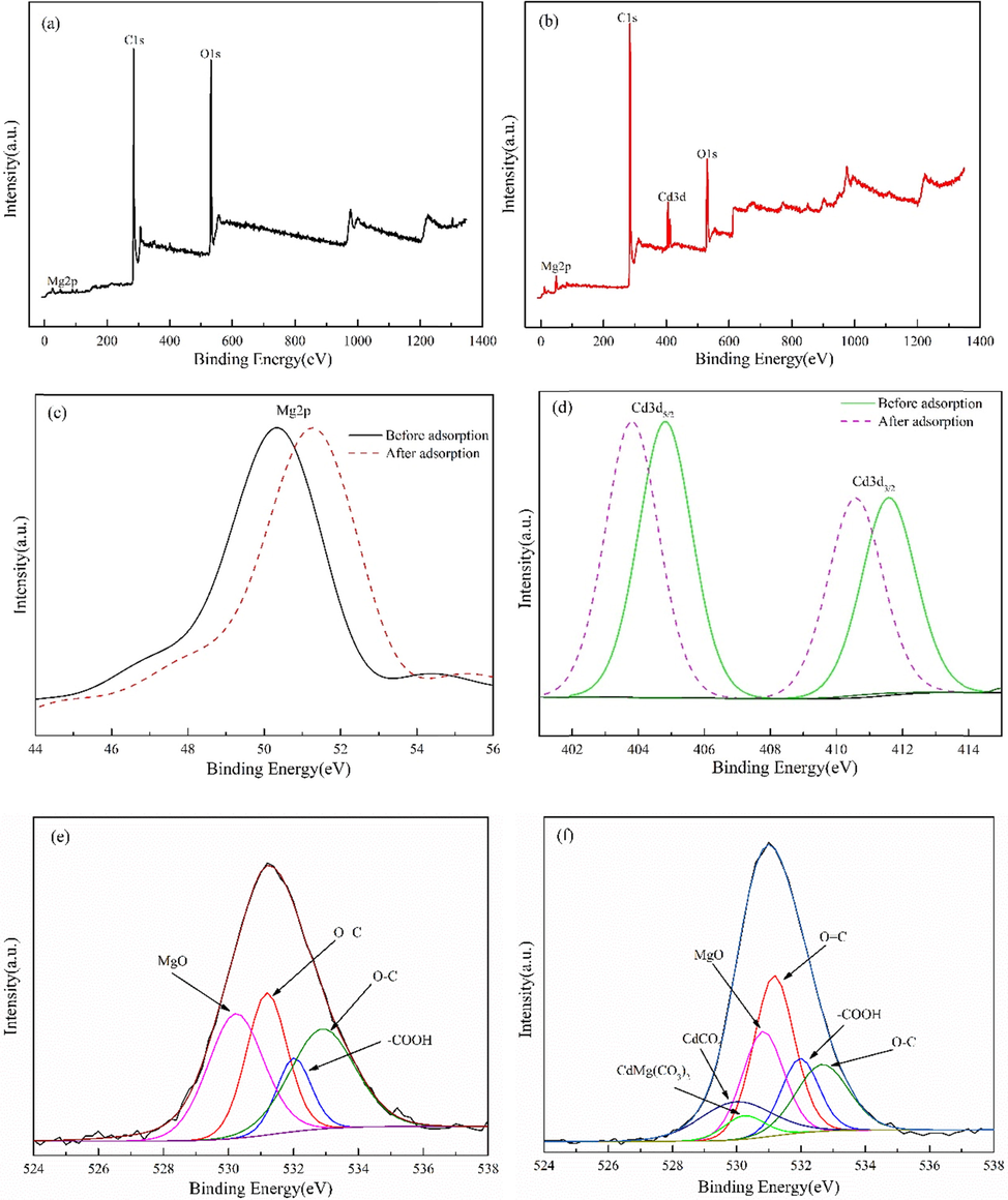 Wide scanning spectrum before MgO-AC adsorption (a); Wide scanning spectrum after adsorption of MgO-AC (b); Mg2p spectra (c); Cd3d spectra (d); O1s before adsorption(e); O1s after adsorption(f).