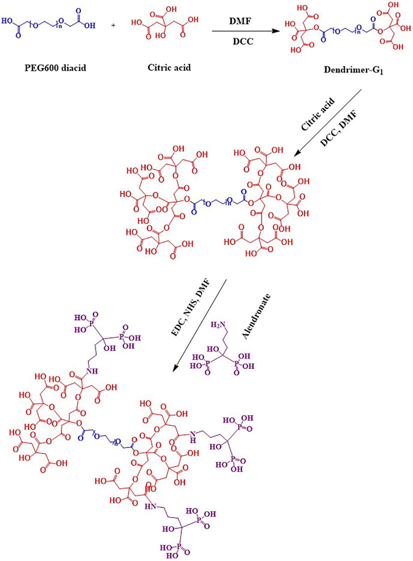 Schematic illustration of citric acid second generation and conjugation with alendronate.