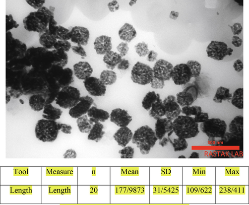 TEM image of the MNE particles.