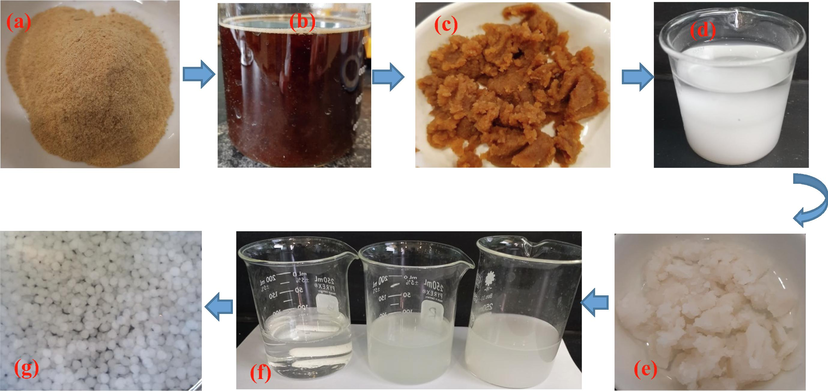 Major steps in the synthesis of extracted cellulose–chitosan composite beads: (a) grinded fibers, (b) fibers treated with NaOH solution, (c) unbleached cellulose, (d) bleached cellulose in solution, (e) bleached cellulose, (f) chitosan-cellulose mixture, and (g) wet prepared beads.