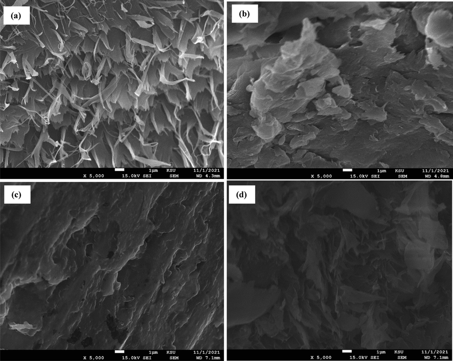 SEM pictures of: (a) chitosan powders, (b) chitosan beads, (c) chitosan–cellulose (5%), and (d) chitosan–cellulose (10%).