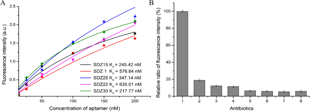 (A) The affinity of each aptamer was determined using a non-linear regression equation, and the relationship between FAM-aptamer concentration and relative fluorescence intensity was studied; (B) Verification of the specificity of SDZ30 to SDZ, (1) SDZ, (2) SN, (3) SMR, (4) SMZ, (5) Kanamycin, (6) Chloramphenicol, (7) Oxytetracycline, (8) Doxycycline, the aptamer concentration was 1 μM, and the concentration of all antibiotics was 100 ng/mL.