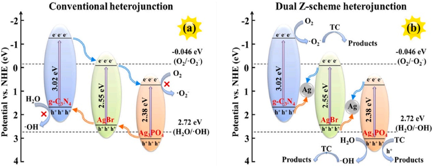 Proposed pathway employing Ag3PO4/AgBr-20 % g-C3N4: Traditional heterostructure (a) and double Z-scheme heterostructure (b). Reprinted with permission from Yu (2020). Copyright © 2020, Elsevier.