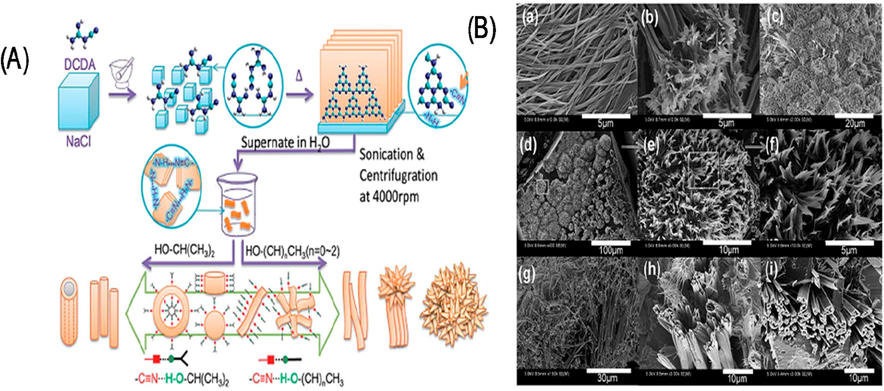 Synthesis strategy (A) Ribbon-like g-C3N4 nanostructures (B) TEM image. Reprinted with permission from Yuan (2014).