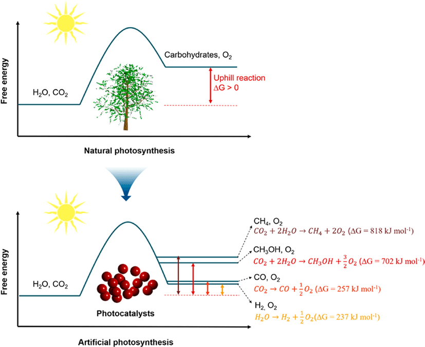 (a) Natural and (b) artificial photosynthesis processes. Reprinted with permission from Wang and Domen (2019).