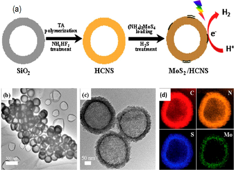 (a) Synthetic strategy and (b, c) TEM images and (d) Energy dispersive X-ray spectroscopy (EDX) elemental maps of MoS2@hollow g-C3N4. Reprinted with permission from Zheng (2016). Copyright © 2016, Elsevier.
